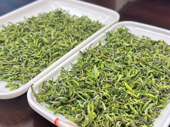 上海各區(qū) 品茶論壇(上海各區(qū)茶文化交流會) 上海各區(qū) 品茶論壇(上海各區(qū)茶文化交流會)