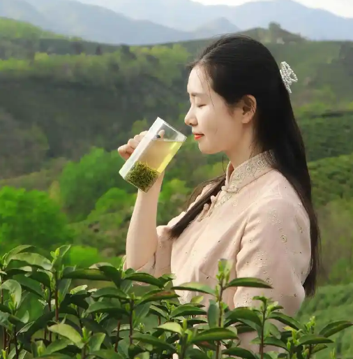 上海喝茶論壇官網(wǎng)首頁入口(上海茶文化論壇首頁入口) 上海喝茶論壇官網(wǎng)首頁入口(上海茶文化論壇首頁入口)