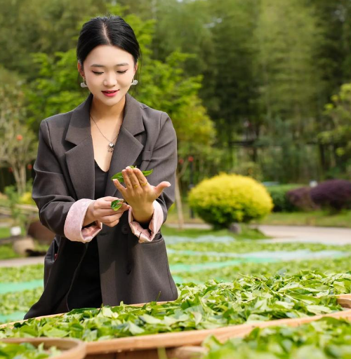 上海高檔茶葉論壇(上海奢華茶葉交流盛會(huì)) 上海高檔茶葉論壇(上海奢華茶葉交流盛會(huì))