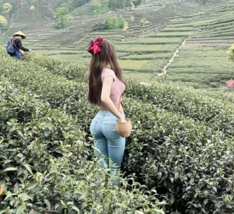 上海喝茶論壇官網(wǎng)(上海茶文化交流平臺) 上海喝茶論壇官網(wǎng)(上海茶文化交流平臺)