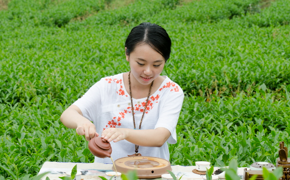 狗牯腦綠茶的沖泡方法(狗牯腦綠茶的泡制技巧)