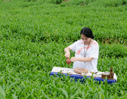 喝紅茶會(huì)失眠嗎(紅茶與失眠的關(guān)系探討)
