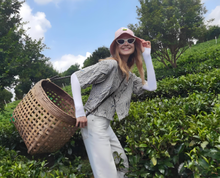 綠茶排名前十名品種圖片大全(綠茶十大品種及圖片展示)